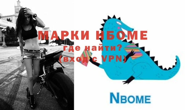 хмурый Абаза