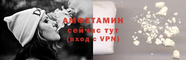 хмурый Абаза