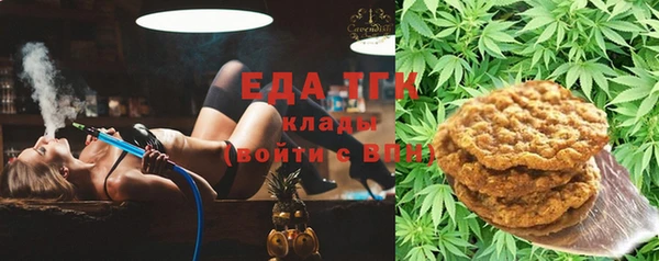 хмурый Абаза
