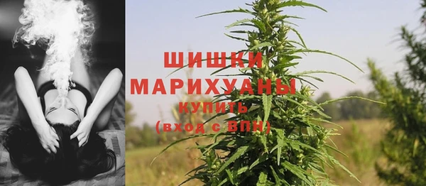 a pvp Новозыбков
